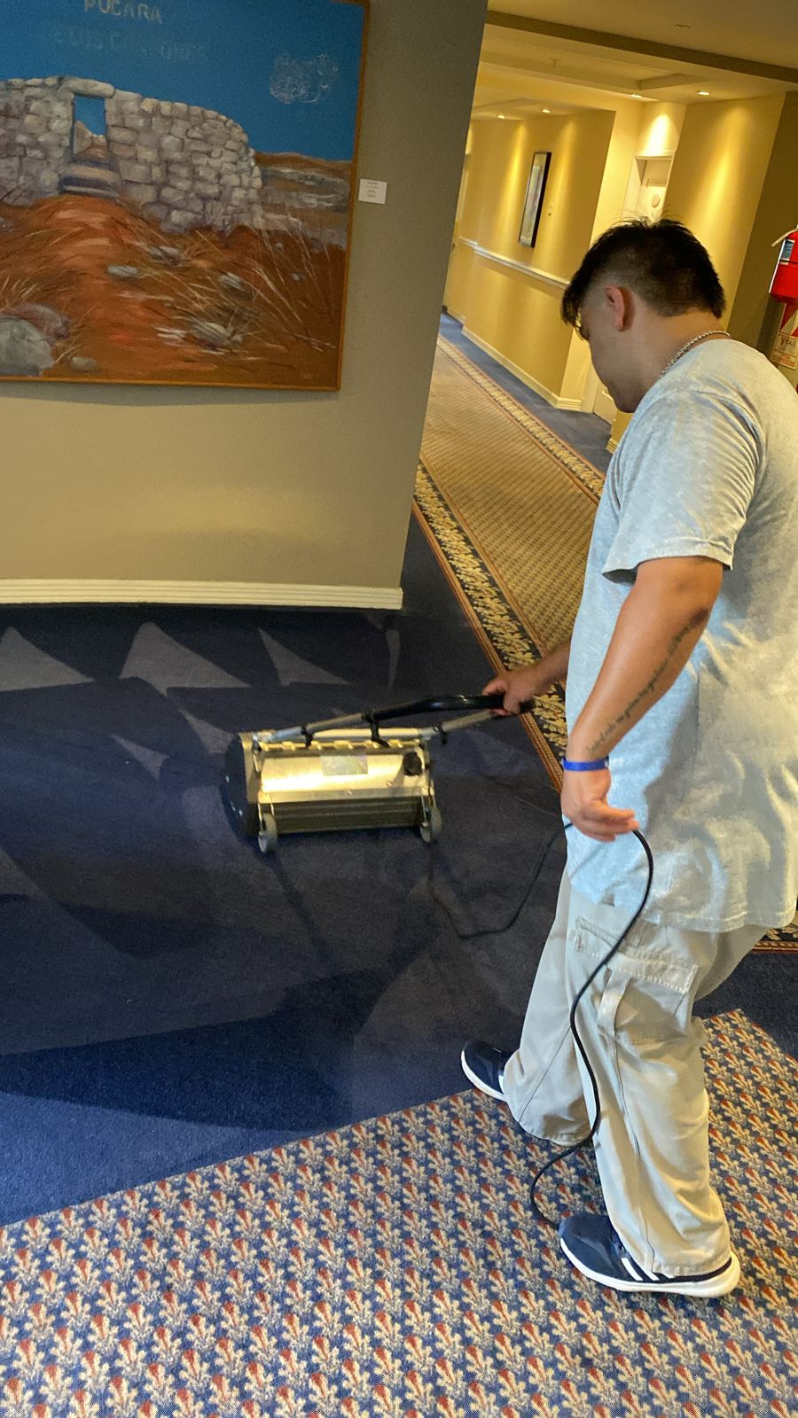 Tratamiento profesional de alfombras realizado por Tecnoclean